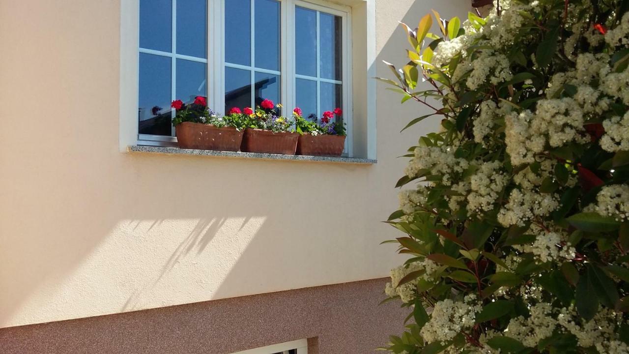 Apartments Place4You Bjelovar Exterior photo